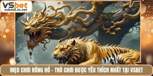 Mẹo Chơi Rồng Hổ - Trò Chơi Được Yêu Thích Nhất Tại Vsbet