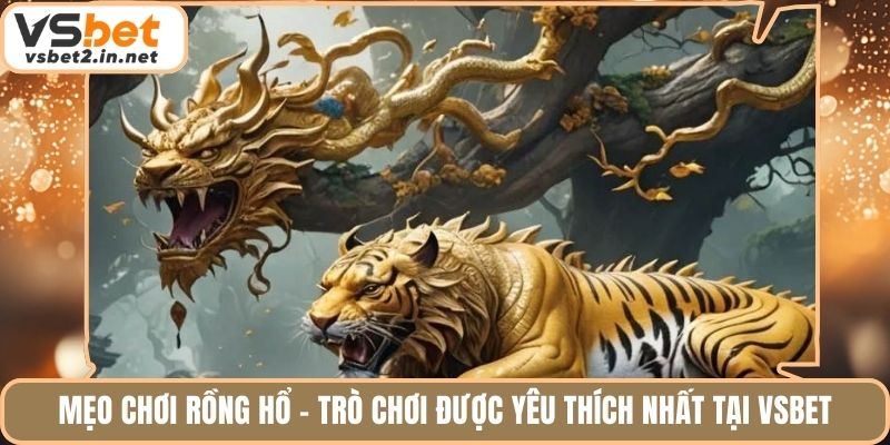 Mẹo Chơi Rồng Hổ - Trò Chơi Được Yêu Thích Nhất Tại Vsbet